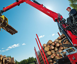 Loglift 96S 300x300 300x250 Elementor #833